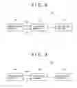 Fig. 09 - IMAGE PICKUP APPARATUS AND PROCESSING METHOD FOR RESULT OF IMAGE PICKUP