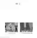 Fig. 02 - METHOD FOR ENCODING AND DECODING IMAGE USING DEPTH INFORMATION, AND DEVICE AND IMAGE SYSTEM USING SAME