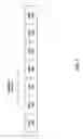 Fig. 06 - System and method for flatness detection for display stream compression (DSC)