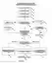 Fig. 09 - Link layered networks with improved operation