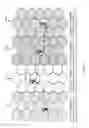 Fig. 13 - Method and apparatus for reducing successive pre-registration attempts by access terminals