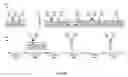 Fig. 05 - FLEXIBLE CONTROL CHANNELS FOR UNPLANNED WIRELESS NETWORKS