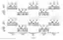 Fig. 08 - FLEXIBLE CONTROL CHANNELS FOR UNPLANNED WIRELESS NETWORKS