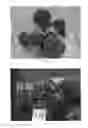 Fig. 02 - Hydrangea Plant Named 'BCHY-06.014'