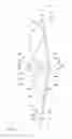 Fig. 05 - Articulated garden rake