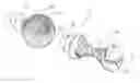 Fig. 01 - Rubber toy