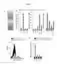 Fig. 04 - Transgenic animals capable of being induced to delete senescent cells