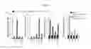 Fig. 05 - Transgenic animals capable of being induced to delete senescent cells