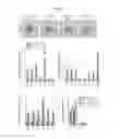 Fig. 08 - Transgenic animals capable of being induced to delete senescent cells