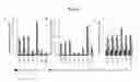 Fig. 09 - Transgenic animals capable of being induced to delete senescent cells