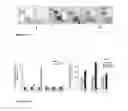 Fig. 04 - Animal models of neurological disorders