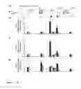 Fig. 05 - Animal models of neurological disorders