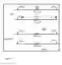 Fig. 35 - Animal models of neurological disorders