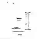 Fig. 07 - HUMANIZED TRANSGENIC SINGLE NUCLEOTIDE POLYMORPHISM ANIMAL SYSTEMS