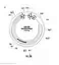 Fig. 08 - HUMANIZED TRANSGENIC SINGLE NUCLEOTIDE POLYMORPHISM ANIMAL SYSTEMS
