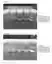 Fig. 07 - SILICON-CONTAINING COMPOUND AQUEOUS SOLUTION AND ANTIBACTERIAL/ANTIVIRAL AGENT INCLUDING SAID SOLUTION