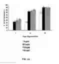Fig. 06 - Method of using carbon nanotubes to affect seed germination and plant growth