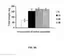 Fig. 08 - Method of using carbon nanotubes to affect seed germination and plant growth