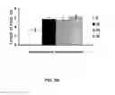 Fig. 09 - Method of using carbon nanotubes to affect seed germination and plant growth