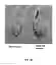 Fig. 07 - Method of using carbon nanotubes to affect seed germination and plant growth