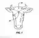 Fig. 02 - Effective animal stunning