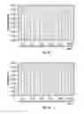 Fig. 08 - PLANT BASED MEAT STRUCTURED PROTEIN PRODUCTS