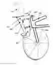 Fig. 01 - Bicycle handlebar and control system