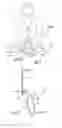 Fig. 03 - Garment with window and detachable pocket