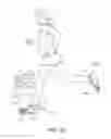 Fig. 30 - Article of footwear with dynamic support