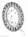 Fig. 01 - Ring