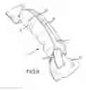 Fig. 06 - Handle for carrying bag