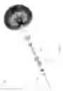 Fig. 09 - Cleaning apparatus