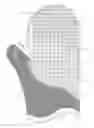 Fig. 01 - Textured device for cleaning cosmetic brushes