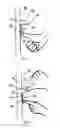 Fig. 05 - Tool-less Reusable Hinged Wall Hanger