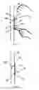 Fig. 06 - Tool-less Reusable Hinged Wall Hanger