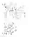 Fig. 07 - Surgical bowel retractor devices