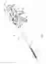 Fig. 02 - Surgical stapling apparatus including firing force regulation