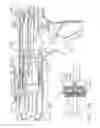Fig. 43 - Surgical stapling apparatus including firing force regulation