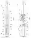 Fig. 03 - Medical devices with detachable pivotable jaws
