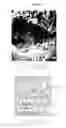 Fig. 06 - Article and method for controlling oral-originated systemic disease