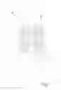 Fig. 02 - Insertion Tool for a Heart Valve