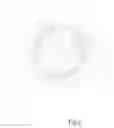 Fig. 04 - Insertion Tool for a Heart Valve