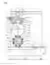 Fig. 02 - Machine for making absorbent sanitary articles