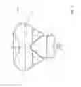 Fig. 06 - Therapeutic Wrap