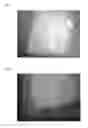Fig. 02 - CARBON-DIOXIDE-GENERATING COSMETIC SHEET PRODUCT