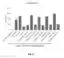 Fig. 04 - Method of inhibiting the expression of IL-22 in activated T-cells