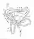 Fig. 07 - Intranasal medication delivery device and method of use thereof