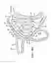 Fig. 08 - Intranasal medication delivery device and method of use thereof