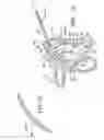 Fig. 09 - Intranasal medication delivery device and method of use thereof