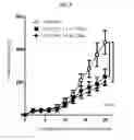 Fig. 07 - Pharmaceutical composition